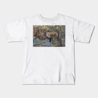 A lone Red Fox in the woods Kids T-Shirt